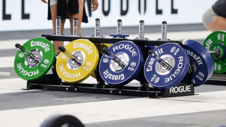 Rogue LB Competition Plates - 2022 Used Games Gear | Rogue Fitness